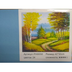 Картина-раскраска по номерам на холсте 40*50 РН955