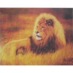 Картина-раскраска по номерам на холсте 40*50 RA386